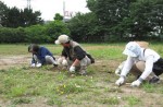 除草作業