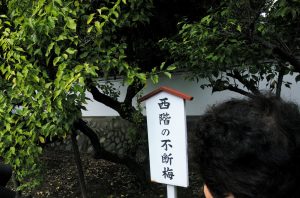足利学校
