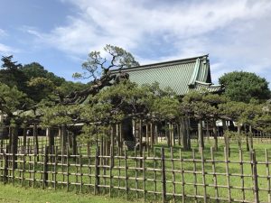 大光院「呑龍様」